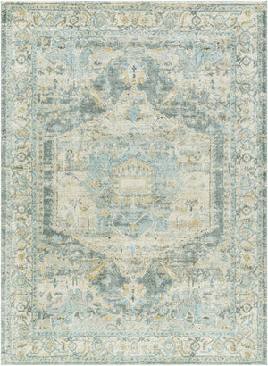 Avellino AVL-2303 9'2" x 12' Machine Woven Rug AVL2303-9212  Light Beige, Light Gray, Gray, Pale Blue, Deep Teal, Tan Surya