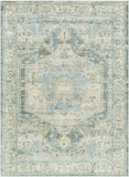 Avellino Machine Woven Rug AVL-2303