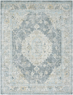 Livabliss Avellino Plush High Pile Area Rug Turkish Machine Woven for Living Room Decor Light Beige, Li 9'2" x 12' AVL2315-9212