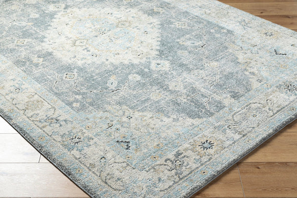 Livabliss Avellino Plush High Pile Area Rug Turkish Machine Woven for Living Room Decor Light Beige, Li 9'2" x 12' AVL2315-9212