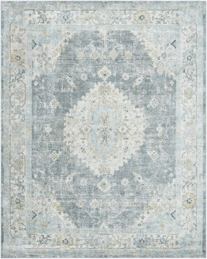 Livabliss Avellino Plush High Pile Area Rug Turkish Machine Woven for Living Room Decor Light Beige, Li 7'10" x 10' AVL2315-71010