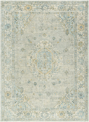 Avellino AVL-2316 9'2" x 12' Machine Woven Rug AVL2316-9212  Light Gray, Light Beige, Gray, Deep Teal, Pale Blue, Tan Surya