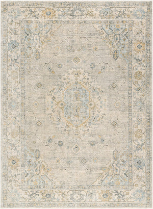 Livabliss Avellino Plush High Pile Area Rug Turkey Woven Polypropylene Living Room Accent Light Gray, Lig 9'2" x 12' AVL2316-9212