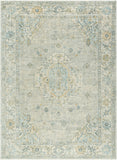 Avellino Machine Woven Rug AVL-2316