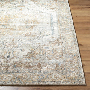 Livabliss Avellino Plush High Pile Area Rug Polypropylene Blend for Living and Dining Rooms Light Beige, Li 2'7" x 7'3" AVL2318-2773