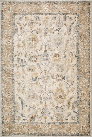 Livabliss Avellino Turkish High Pile Polypropylene Area Rug for Living Rooms and Bedrooms Light Beige, Li 2' x 2'11" AVL2319-2211
