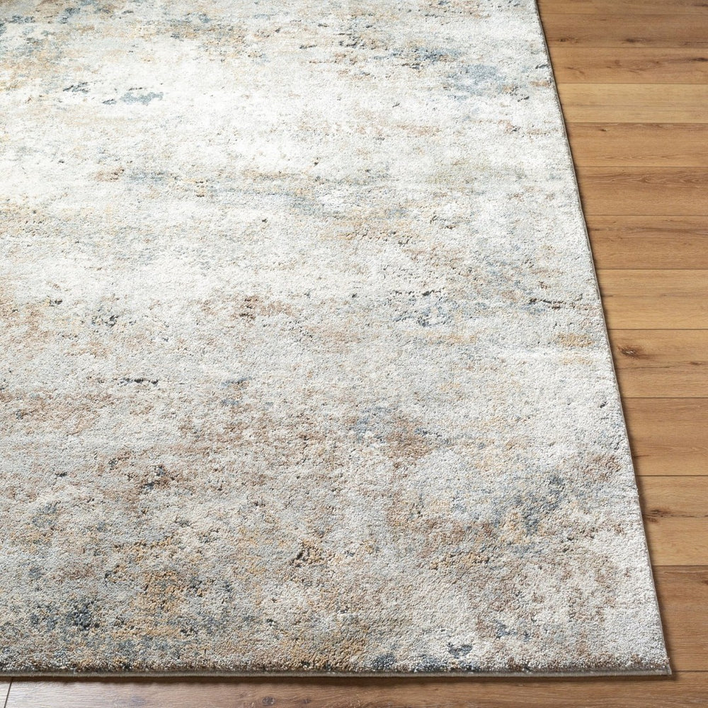 Livabliss Avellino Turkish High Pile Area Rug Polypropylene Blend for Living or Dining Rooms Light Gray, Lig 5'3" x 7' AVL2323-537