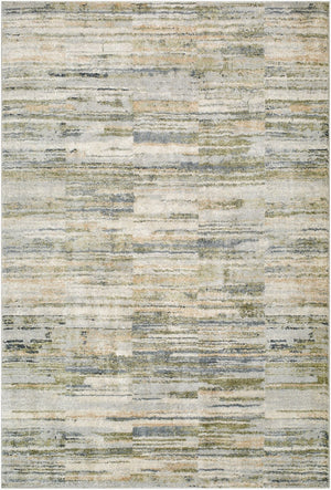 Livabliss Avellino High Pile Turkish Woven Polypropylene Area Rug for Large Living Spaces Light Gray, Lig 2'7" x 7'3" AVL2333-2773