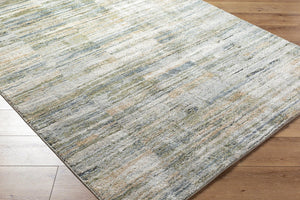 Livabliss Avellino High Pile Turkish Woven Polypropylene Area Rug for Large Living Spaces Light Gray, Lig 2'7" x 7'3" AVL2333-2773