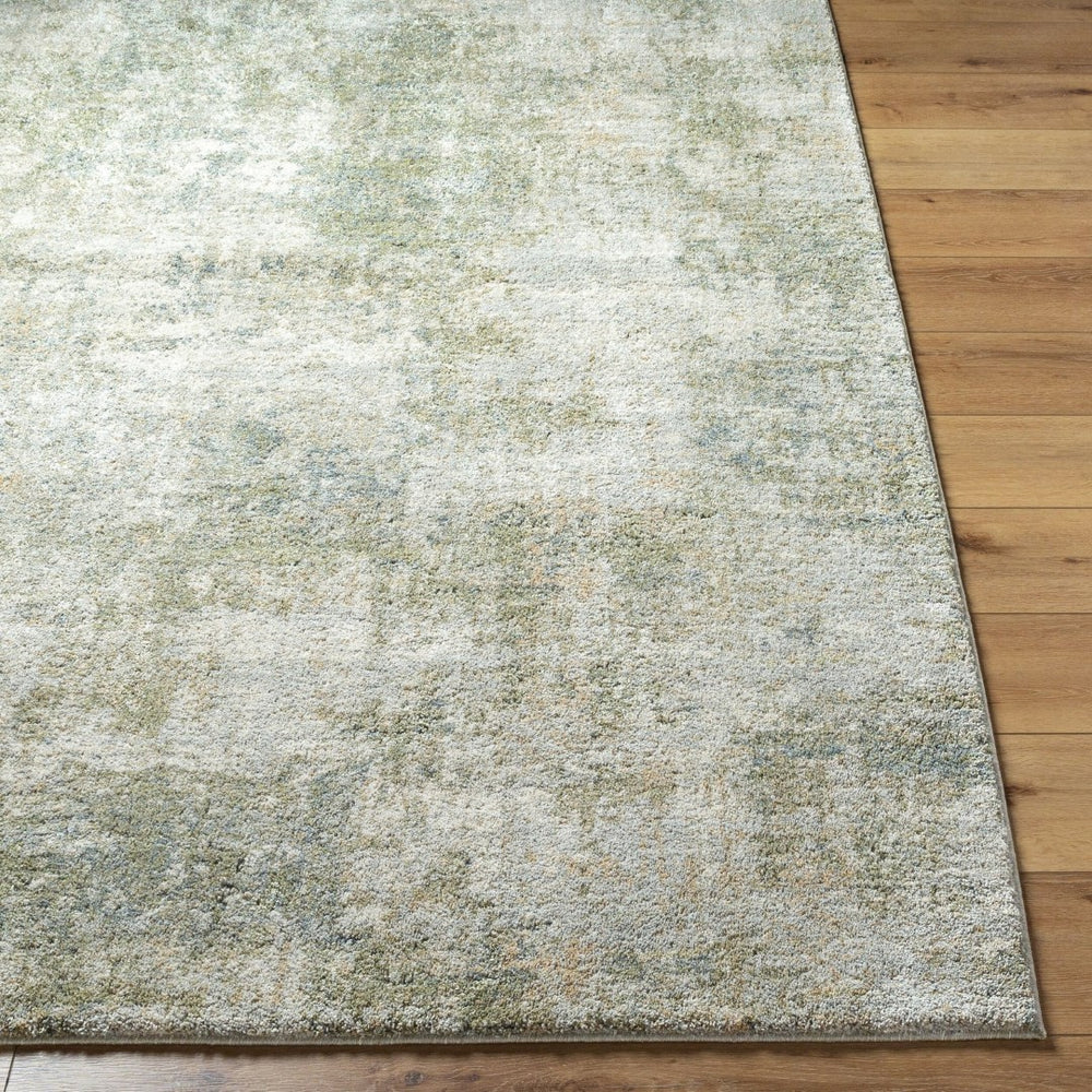 Livabliss Avellino High Pile Polypropylene Woven Area Rug for Living Room or Dining Space Light Gray, Lig 7'10" x 10' AVL2336-71010