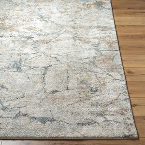 Avellino AVL-2339 9'2" x 12' Machine Woven Rug AVL2339-9212  Light Beige, Light Gray, Pale Blue, Tan, Gray, Deep Teal Surya