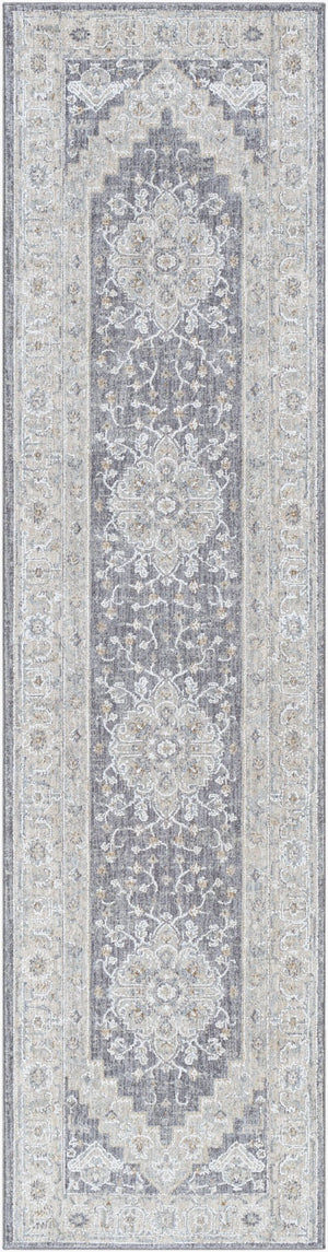 Livabliss Avant Garde Large Geometric Area Rug with Fringe Polypropylene Weave for Living Rooms Gray, Charcoal 2'7" x 10' AVT2300-2710