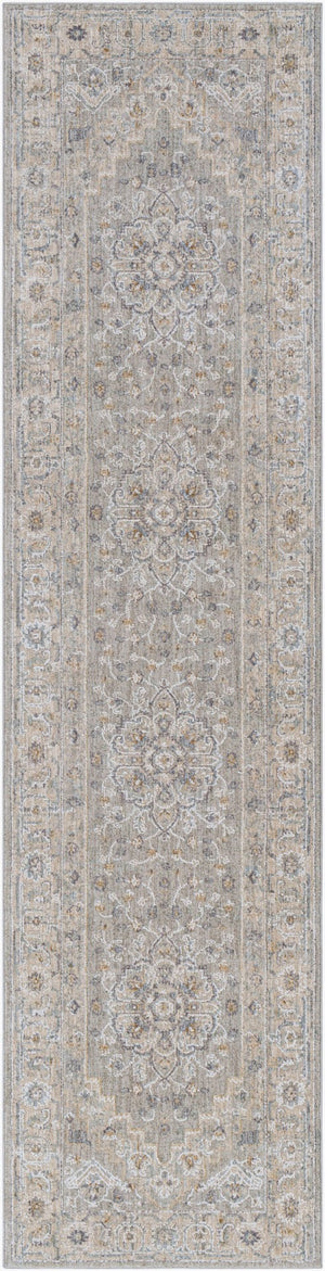 Livabliss Avant Garde Traditional Machine Woven Polypropylene Area Rug for Living Dining Rooms Gray, Charcoal 2'7" x 10' AVT2301-2710