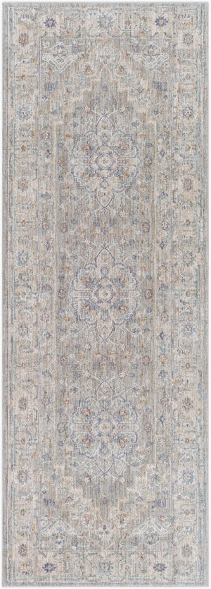 Livabliss Avant Garde Traditional Machine Woven Polypropylene Area Rug for Living Dining Rooms Gray, Charcoal 2'7" x 7'3" AVT2301-2773