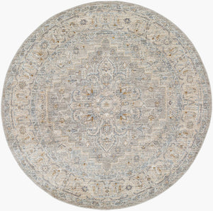 Livabliss Avant Garde Traditional Machine Woven Polypropylene Area Rug for Living Dining Rooms Gray, Charcoal 7'10" x 7'10" AVT2301-710RD