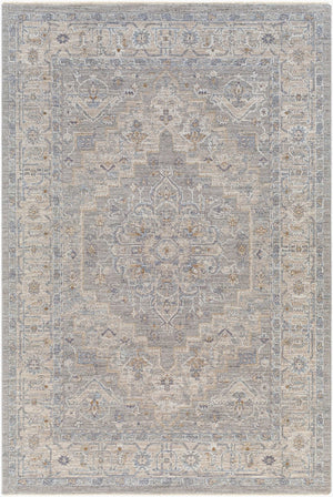 Livabliss Avant Garde Traditional Machine Woven Polypropylene Area Rug for Living Dining Rooms Gray, Charcoal 9' x 12'2" AVT2301-9122