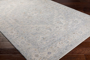Livabliss Avant Garde Traditional Machine Woven Polypropylene Area Rug for Living Dining Rooms Gray, Charcoal 2'7" x 7'3" AVT2301-2773