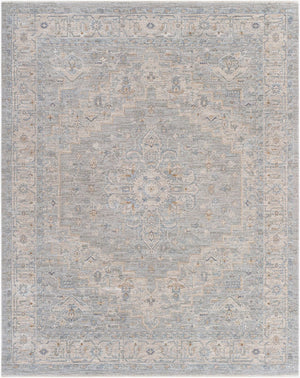 Livabliss Avant Garde Traditional Machine Woven Polypropylene Area Rug for Living Dining Rooms Gray, Charcoal 7'10" x 10'2" AVT2301-710103