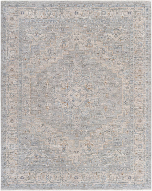 Livabliss Avant Garde Traditional Machine Woven Polypropylene Area Rug for Living Dining Rooms Gray, Charcoal 7'10" x 10'2" AVT2301-710103