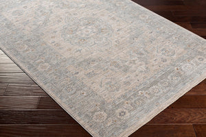 Livabliss Avant Garde Turkish Machine Woven Medallion Area Rug with Fringe for Large Living Rooms Gray, Charcoal 5'3" x 5'3" AVT2302-53RD