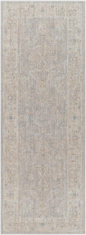 Livabliss Avant Garde Traditional Area Rug with High Low Pile for Large Living Dining Rooms Gray, Charcoal 2'7" x 7'3" AVT2304-2773