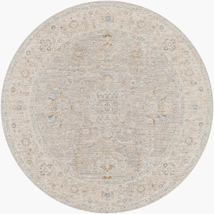 Livabliss Avant Garde Traditional Area Rug with High Low Pile for Large Living Dining Rooms Gray, Charcoal 5'3" x 5'3" AVT2304-53RD