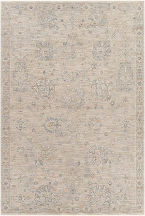 Livabliss Avant Garde Turkish Medallion Area Rug Fringe Border Medium Pile Living Room Floor Gray, Charcoal 6'7" x 9'6" AVT2307-6796