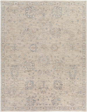 Livabliss Avant Garde Turkish Medallion Area Rug Fringe Border Medium Pile Living Room Floor Gray, Charcoal 7'10" x 10'2" AVT2307-710103