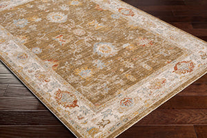 Livabliss Avant Garde Medallion Area Rug Machine Woven Polypropylene with Fringe Living Room Brown, Light Be 9' x 12'2" AVT2308-9122