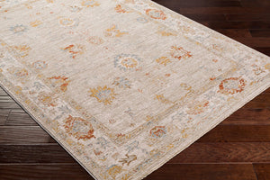 Livabliss Avant Garde Medallion Area Rug Turkish Woven Polypropylene Fringe Living Room Sage, Olive 5'3" x 5'3" AVT2310-53RD