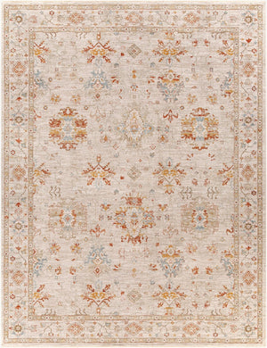Livabliss Avant Garde Traditional Polypropylene Area Rug with High Low Pile for Living Rooms Rust, Olive 7'10" x 10'2" AVT2311-710103