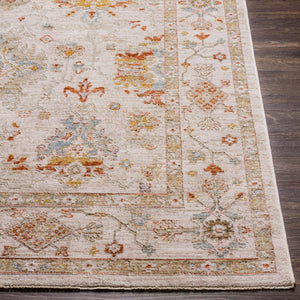 Livabliss Avant Garde Traditional Polypropylene Area Rug with High Low Pile for Living Rooms Rust, Olive 5' x 7'5" AVT2311-575