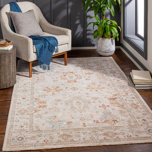 Livabliss Avant Garde Traditional Polypropylene Area Rug with High Low Pile for Living Rooms Rust, Olive 7'10" x 7'10" AVT2311-710RD