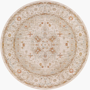 Livabliss Avant Garde Medallion Area Rug Machine Woven Traditional Polypropylene Living Room Sage, Olive 6'7" x 6'7" AVT2313-67RD