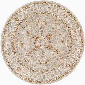 Livabliss Avant Garde Traditional Medallion Area Rug Machine Woven Polypropylene Formal Living Room Sage, Olive 5'3" x 5'3" AVT2314-53RD