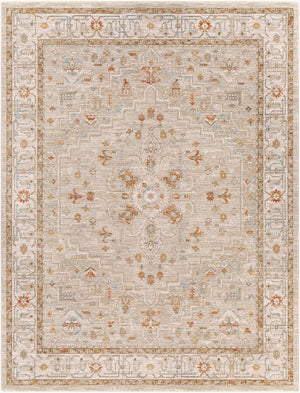 Livabliss Avant Garde Traditional Medallion Area Rug Machine Woven Polypropylene Formal Living Room Sage, Olive 7'10" x 10'2" AVT2314-710103