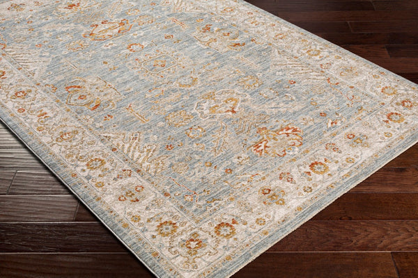 Livabliss Avant Garde Traditional Fringe Area Rug with Polypropylene Weave for Large Living Rooms Denim, Sage 7'10" x 10'2" AVT2318-710103