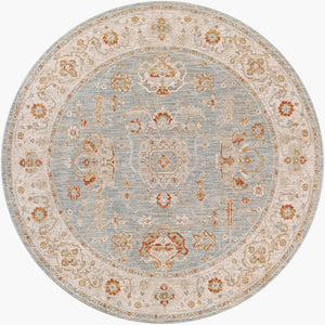 Livabliss Avant Garde Traditional Fringe Area Rug with Polypropylene Weave for Large Living Rooms Denim, Sage 6'7" x 6'7" AVT2318-67RD