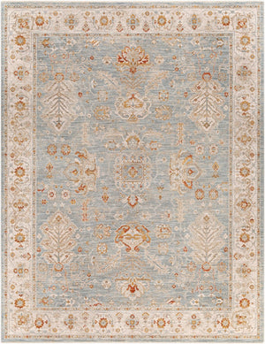 Livabliss Avant Garde Traditional Fringe Area Rug with Polypropylene Weave for Large Living Rooms Denim, Sage 7'10" x 10'2" AVT2318-710103