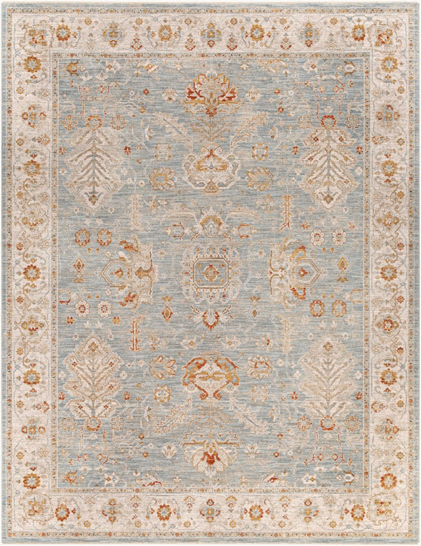 Livabliss Avant Garde Traditional Fringe Area Rug with Polypropylene Weave for Large Living Rooms Denim, Sage 7'10" x 10'2" AVT2318-710103