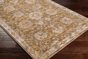 Livabliss Avant Garde Turkish Woven Accent Rug with Fringe Traditional Pattern for Entryways Rust, Denim 6'7" x 6'7" AVT2320-67RD