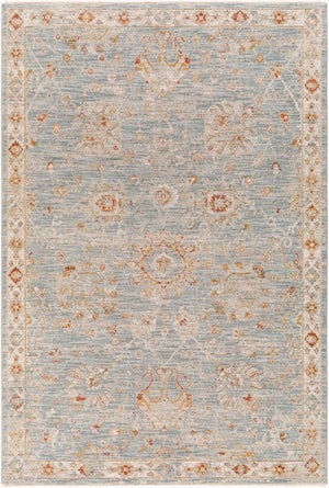 Livabliss Avant Garde Machine Woven Traditional Area Rug with Fringe for Dining Rooms Denim, Rust 12' x 15' AVT2322-1215