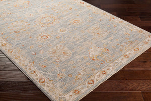Livabliss Avant Garde Machine Woven Traditional Area Rug with Fringe for Dining Rooms Denim, Rust 12' x 15' AVT2322-1215