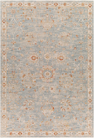 Livabliss Avant Garde Machine Woven Traditional Area Rug with Fringe for Dining Rooms Denim, Rust 6'7" x 9'6" AVT2322-6796