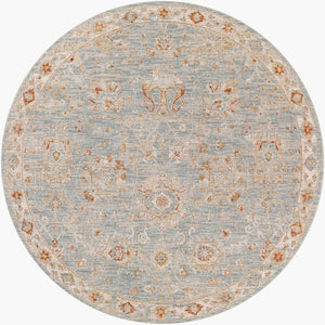 Livabliss Avant Garde Machine Woven Traditional Area Rug with Fringe for Dining Rooms Denim, Rust 7'10" x 7'10" AVT2322-710RD