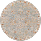 Avant Garde AVT-2322 5'3" x 5'3" Machine Woven Rug AVT2322-53RD Livabliss Surya