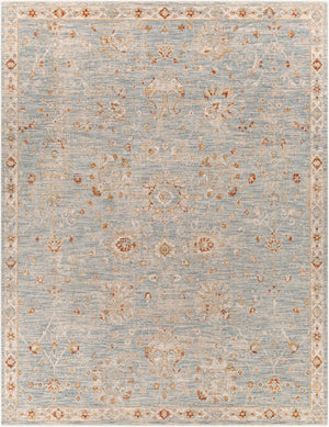 Livabliss Avant Garde Machine Woven Traditional Area Rug with Fringe for Dining Rooms Denim, Rust 7'10" x 10'2" AVT2322-710103