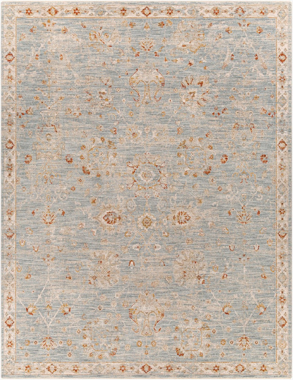 Livabliss Avant Garde Machine Woven Traditional Area Rug with Fringe for Dining Rooms Denim, Rust 7'10" x 10'2" AVT2322-710103