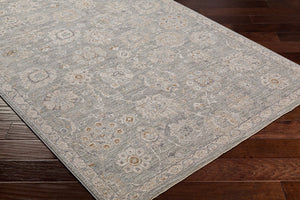 Livabliss Avant Garde Traditional Fringe Area Rug Machine Woven Turkey High Low Pile Living Room Dusty Sage, Lig 10' x 13'11" AVT2335-1014