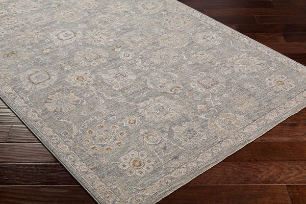 Livabliss Avant Garde Traditional Fringe Area Rug Machine Woven Turkey High Low Pile Living Room Dusty Sage, Lig 10' x 13'11" AVT2335-1014